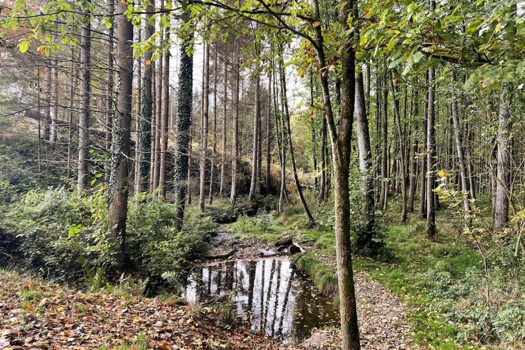 The Forest Retreat- Luxurioese Ferienwohnung Mit Privater Sauna Wermelskirchen Εξωτερικό φωτογραφία