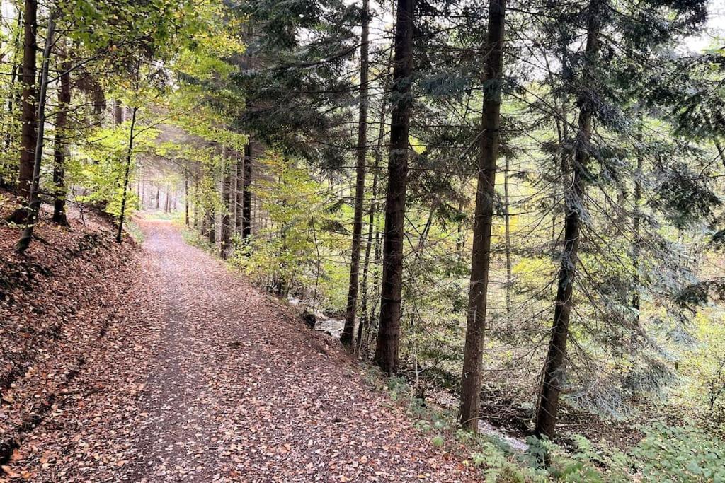 The Forest Retreat- Luxurioese Ferienwohnung Mit Privater Sauna Wermelskirchen Εξωτερικό φωτογραφία